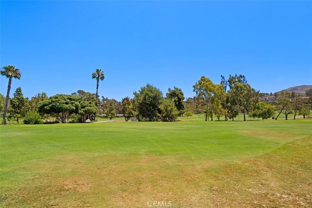 27172 Paseo Burladero Unit C, San Juan Capistrano, CA 92675 - photo 44