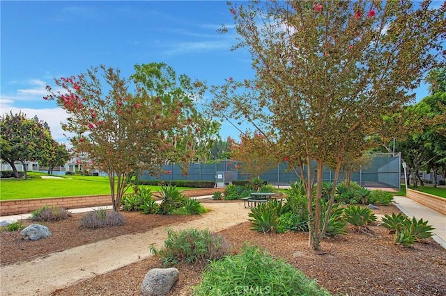 23372 Caminito Marcial Unit 187, Laguna Hills, CA 92653 - surrounding community