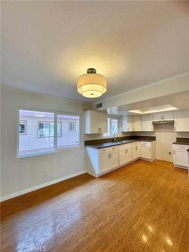 9010 Burke St Unit 22, Pico Rivera, CA 90660 - kitchen featuring dark countertops, light wood-style floors, a textured ceiling, white cabinets, and under cabinet range hood
