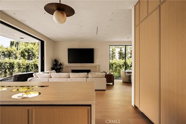 4724 Lemona Ave, Sherman Oaks, CA 91403 - living room with wood finished floors