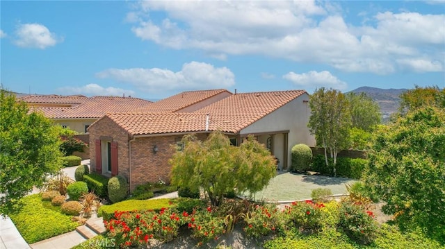 14 Garza, Rancho Mission Viejo, CA 92694 - photo 47