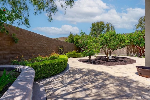 14 Garza, Rancho Mission Viejo, CA 92694 - photo 36