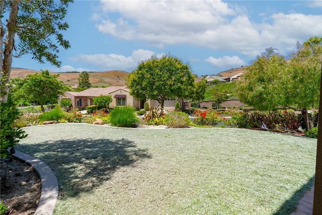 14 Garza, Rancho Mission Viejo, CA 92694 - photo 41