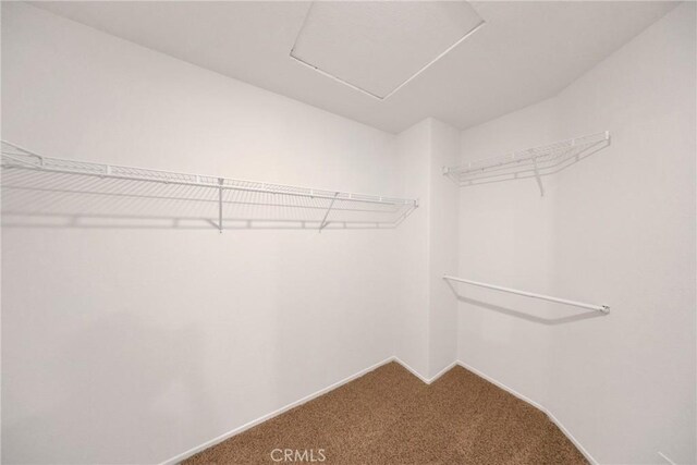 4450 Autumn Glow Ct, Chino Hills, CA 91709 - spacious closet featuring carpet flooring
