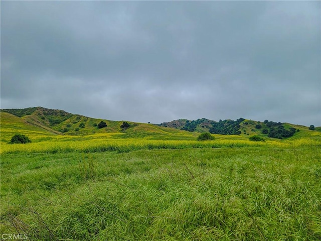 4450 Autumn Glow Ct, Chino Hills, CA 91709 - view of mountain background