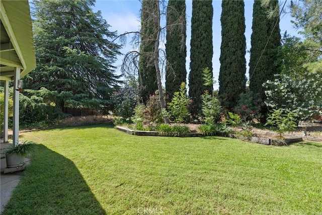 1603 Colusa St, Corning, CA 96021 - view of grassy yard