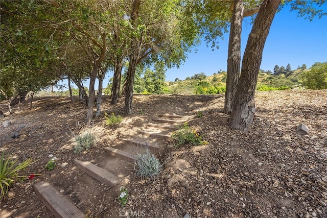 2051 Royal Oaks Dr, Duarte, CA 91010 - view of nature