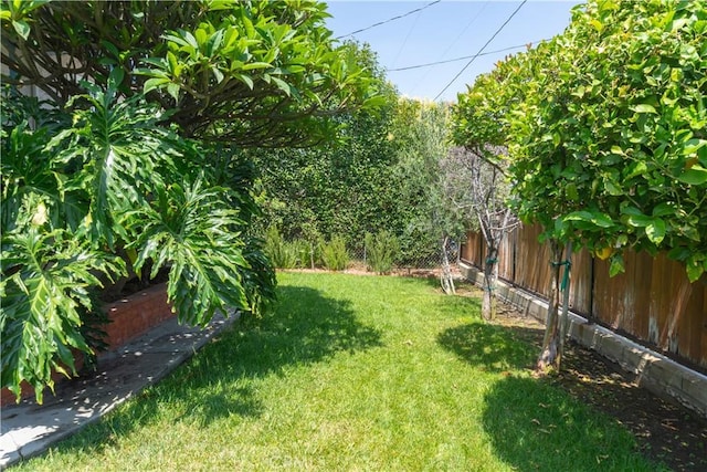3801 Whiteside St, Los Angeles, CA 90063 - view of fenced yard