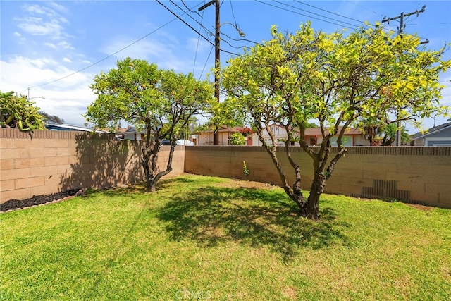 19240 Annalee Ave, Carson, CA 90746 - photo 62