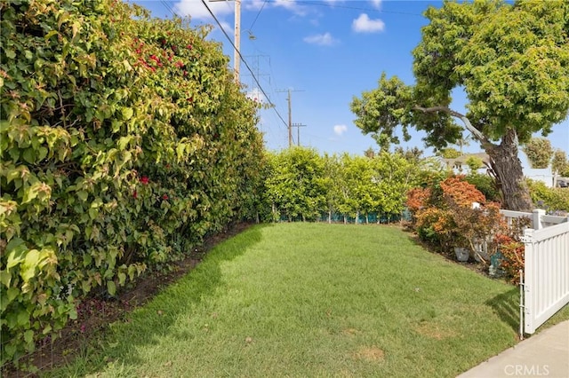 19125 Anza Ave, Torrance, CA 90503 - view of yard