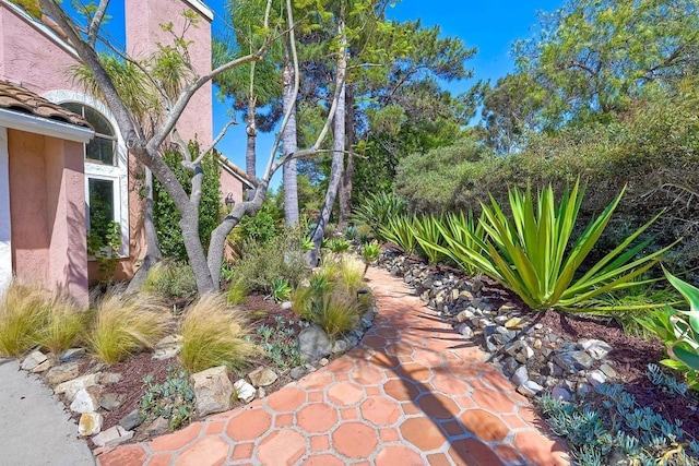 316 Winters Ct, San Marcos, CA 92069 - photo 29