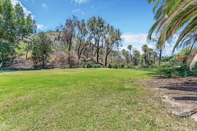 5055 Collwood Way Unit 54, San Diego, CA 92115 - photo 37