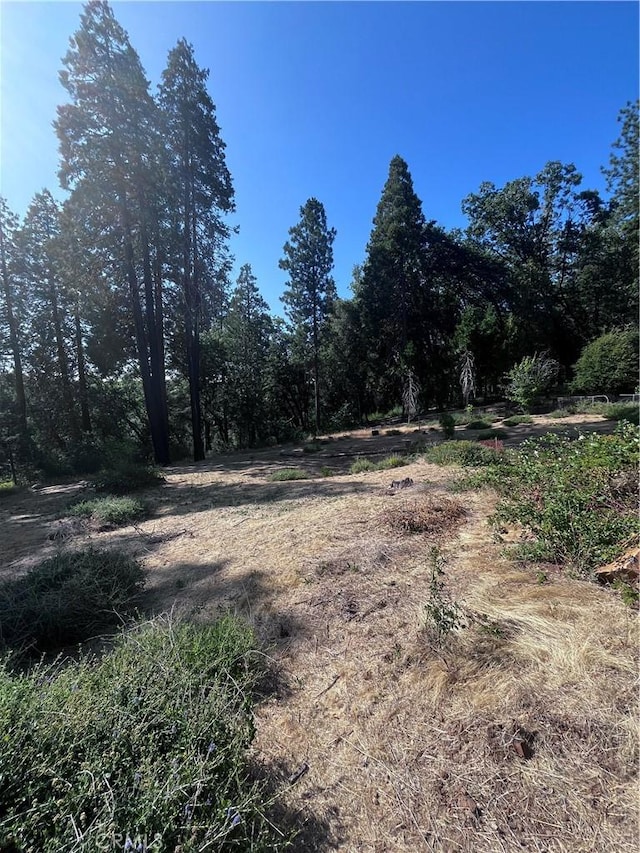13903 Cluster Ct, Magalia, CA 95954