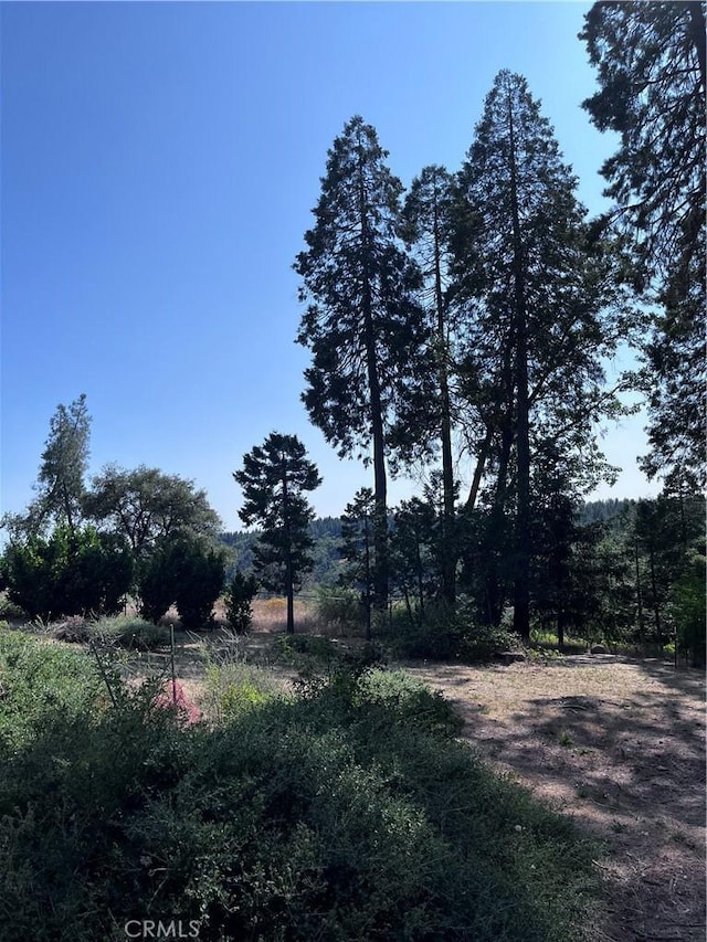 13903 Cluster Ct, Magalia, CA 95954
