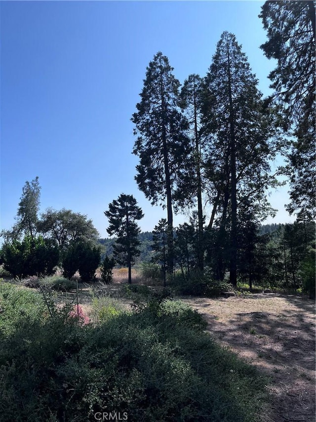 13903 Cluster Ct, Magalia, CA 95954
