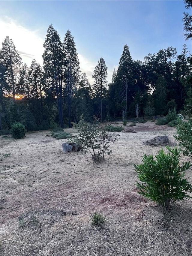 13903 Cluster Ct, Magalia, CA 95954