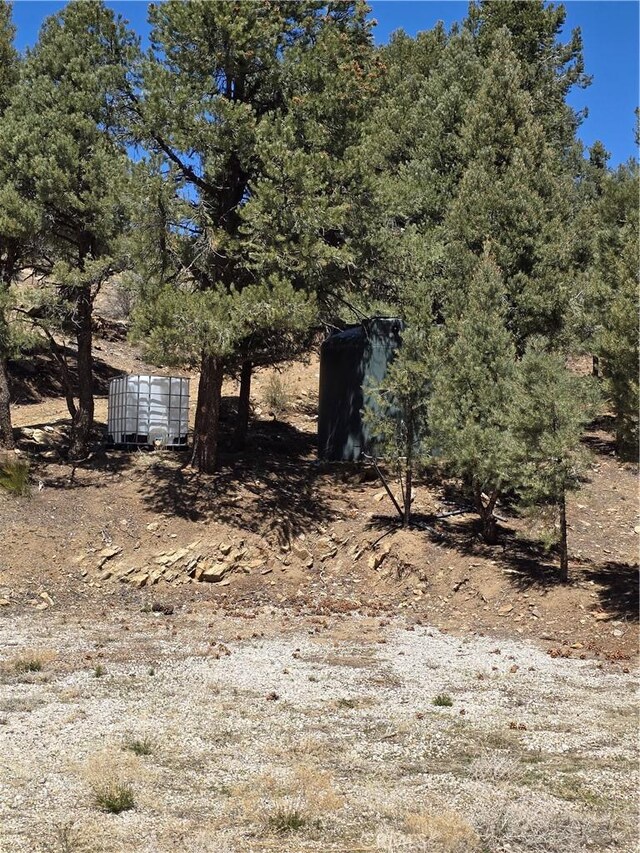 46247 Serpentine Dr, Big Bear City, CA 92314 - photo 8