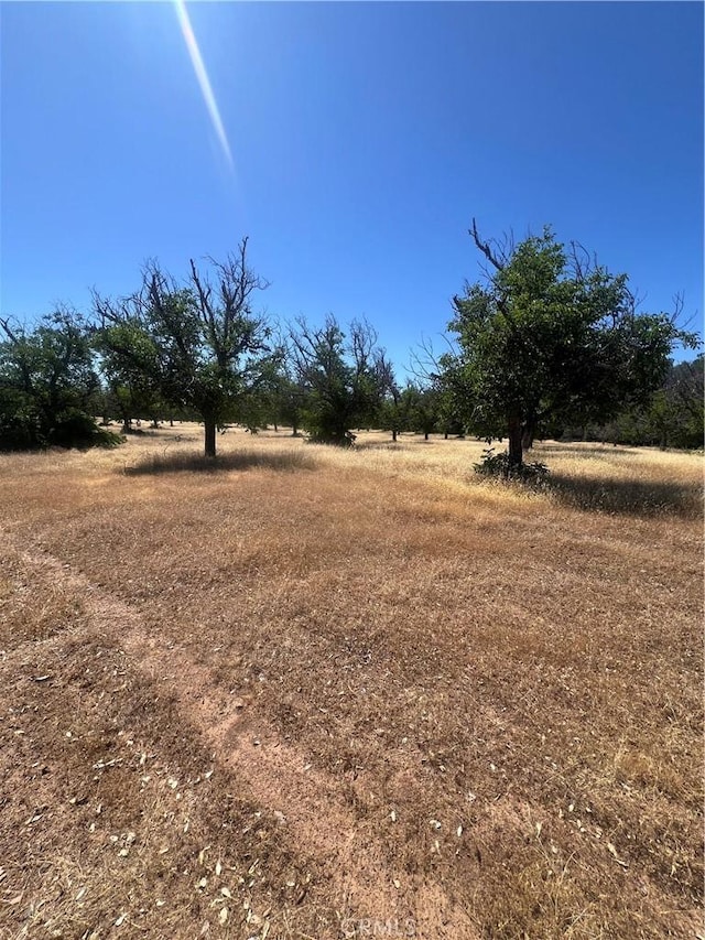 7366 Wight Way, Kelseyville, CA 95451 - view of yard