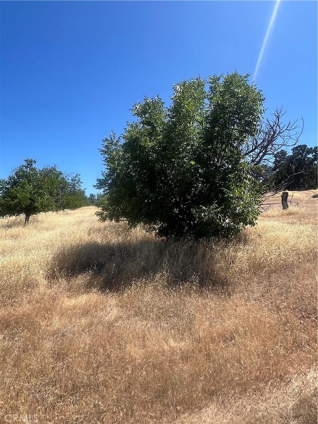 7366 Wight Way, Kelseyville, CA 95451 - view of undeveloped land featuring rural landscape