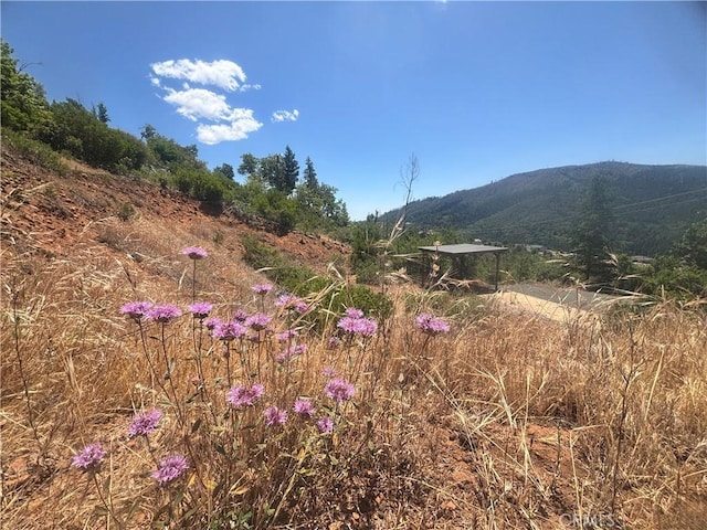 15350 Evergreen Dr, Cobb, CA 95426