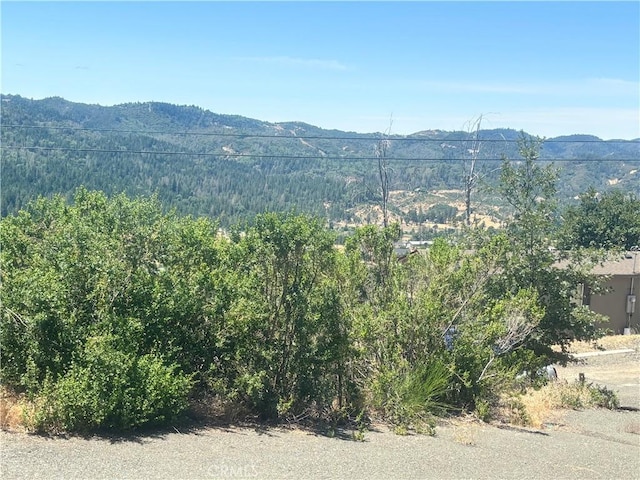 15350 Evergreen Dr, Cobb, CA 95426