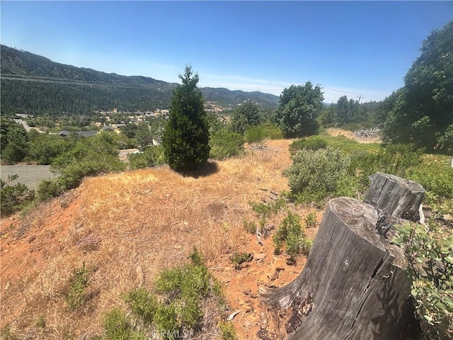 15350 Evergreen Dr, Cobb, CA 95426