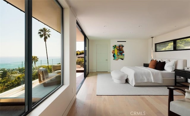 1105 Skyline Dr, Laguna Beach, CA 92651 - bedroom featuring light wood-style floors and a water view