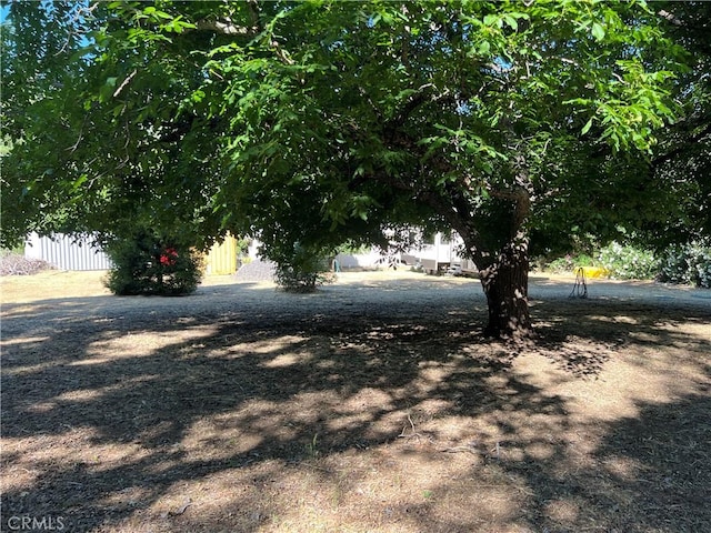 5128 W State Highway 20, Upper Lake, CA 95485 - view of yard