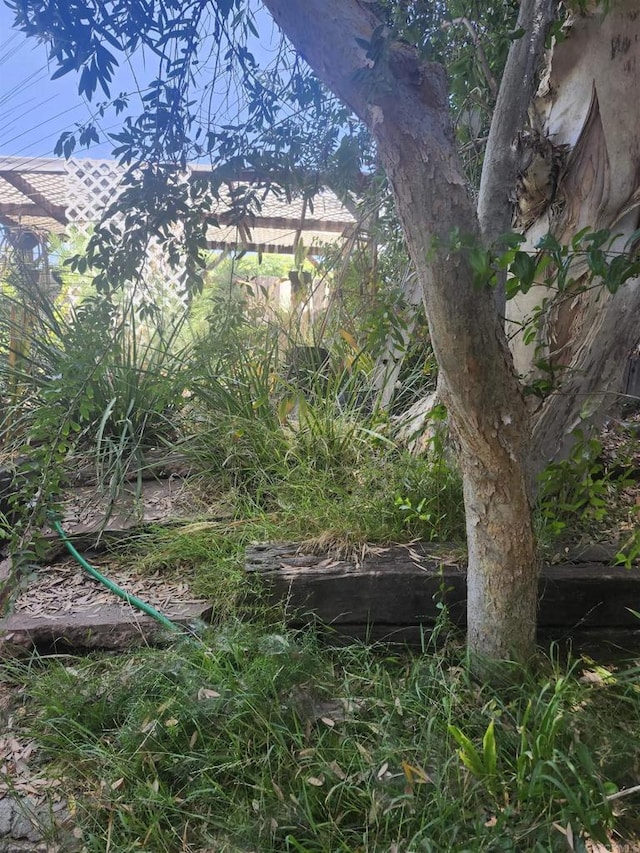 9408 Wharton Rd, Santee, CA 92071 - view of yard