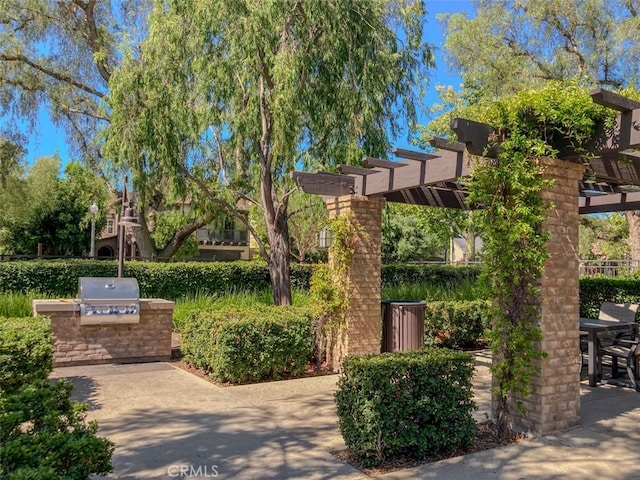 62 Gentry, Irvine, CA 92620 - view of home's community with an outdoor kitchen, a pergola, and a patio