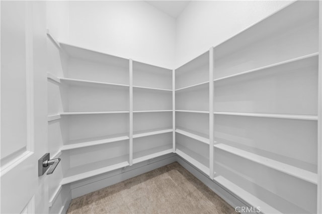 27216 W Coyote Bush Ct, Valencia, CA 91355 - view of storage area