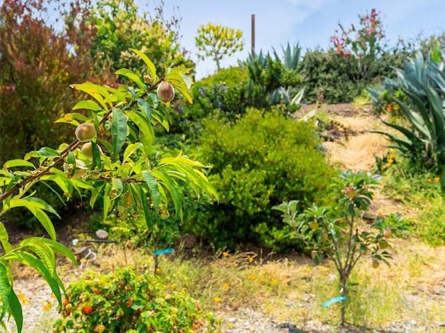 1750 La Luna Ct, San Luis Obispo, CA 93405 - photo 55