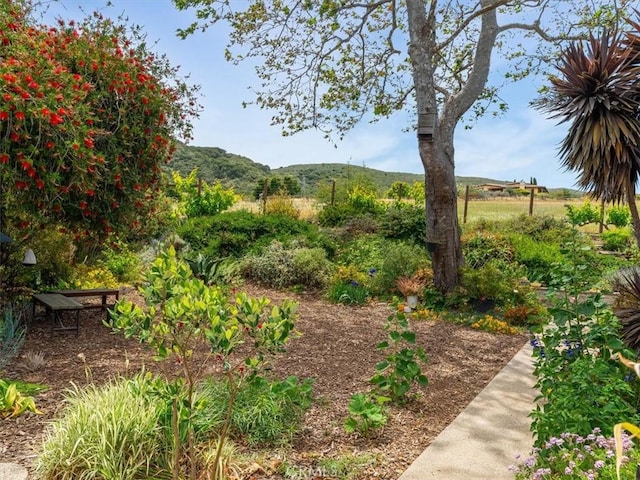 1750 La Luna Ct, San Luis Obispo, CA 93405 - photo 57