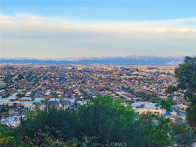 4233 Paseo De Las Tortugas, Torrance, CA 90505 - photo 2