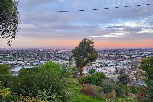 4233 Paseo De Las Tortugas, Torrance, CA 90505 - photo 33