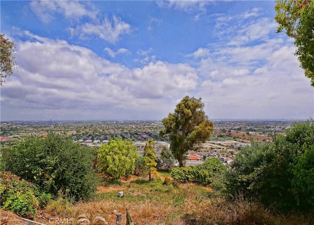 4233 Paseo De Las Tortugas, Torrance, CA 90505 - photo 28