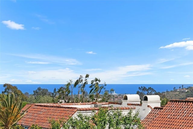 50 Los Cabos, Dana Point, CA 92629 - water view