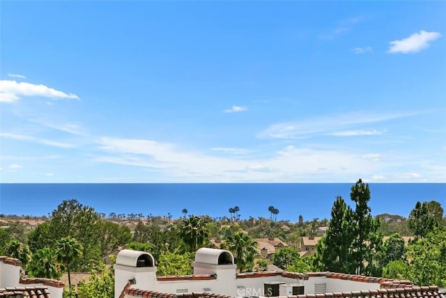 50 Los Cabos, Dana Point, CA 92629 - water view