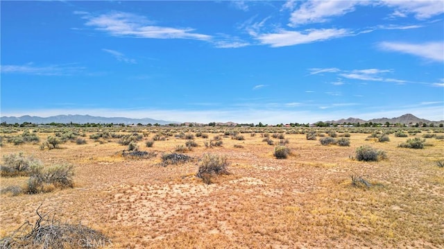 1 Ocotilla Rd, Apple Valley, CA 92307 - photo 9