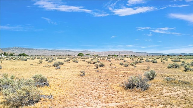 1 Ocotilla Rd, Apple Valley, CA 92307 - photo 8