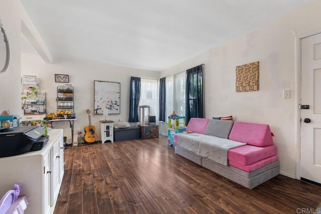 1185 Elm Ave, Chula Vista, CA 91911 - living room featuring wood finished floors