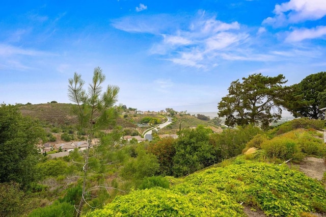 4265 Spoon Bill Way, Oceanside, CA 92057 - view of undeveloped land