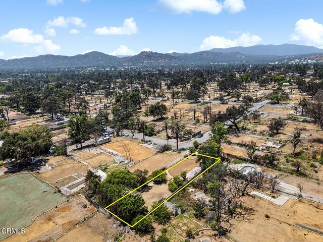559 E Marigold St, Altadena, CA 91001 - photo 16