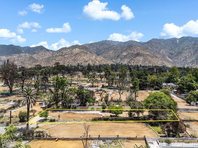 559 E Marigold St, Altadena, CA 91001 - photo 22