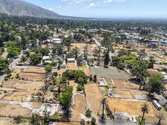 559 E Marigold St, Altadena, CA 91001 - photo 19