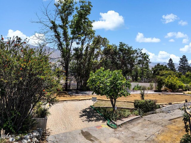 559 E Marigold St, Altadena, CA 91001 - photo 2