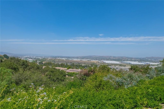 1229 Porto Grande Unit 4, Diamond Bar, CA 91765 - view of mountain backdrop