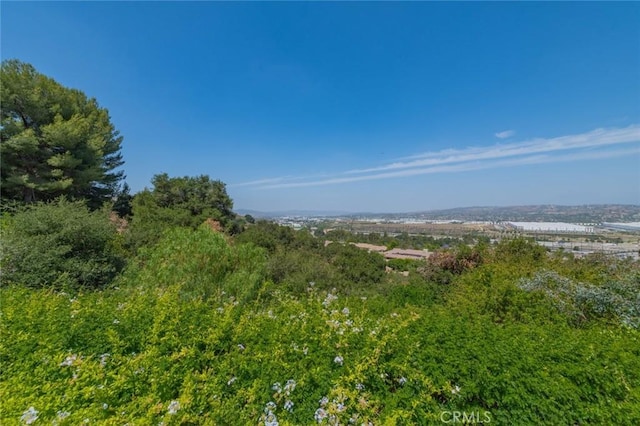 1229 Porto Grande Unit 4, Diamond Bar, CA 91765 - exterior space
