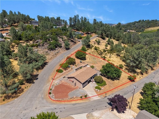 9802 Sequoia Rd, Kelseyville, CA 95451 - photo 50