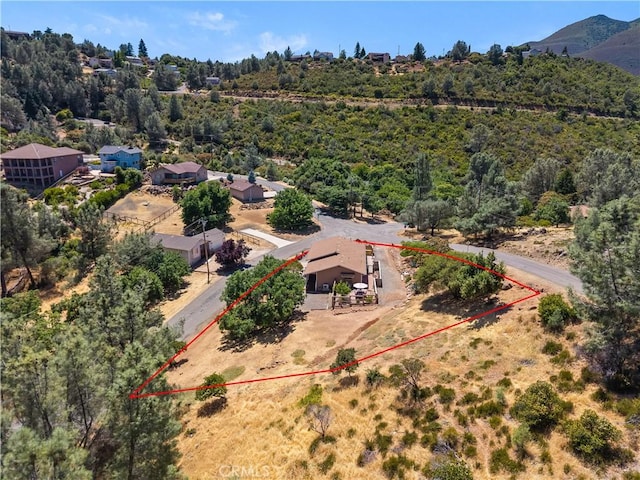 9802 Sequoia Rd, Kelseyville, CA 95451 - photo 49